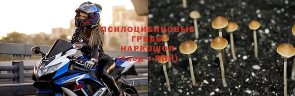 прущие крисы Абдулино