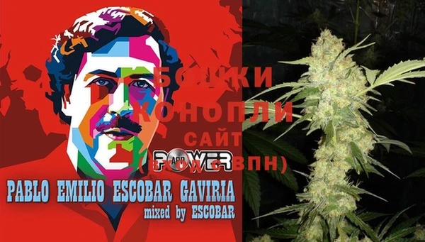 ГАЛЛЮЦИНОГЕННЫЕ ГРИБЫ Нязепетровск