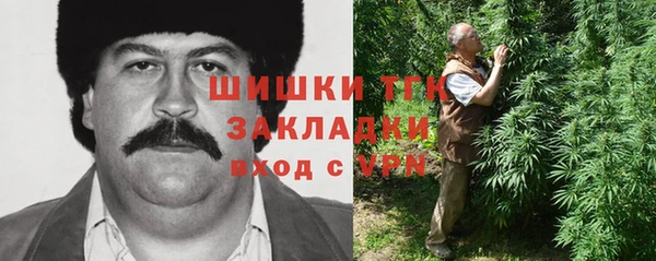 стаф Абинск