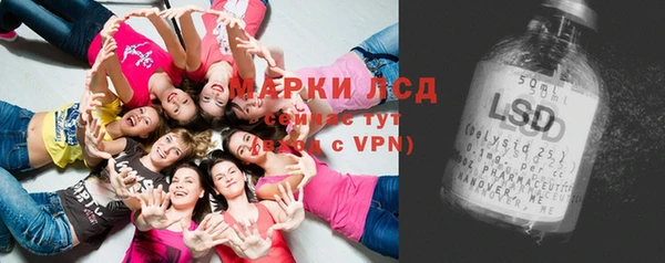 стаф Абинск