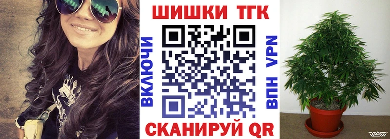 даркнет телеграм  Новосиль  Бошки Шишки White Widow  mega маркетплейс 